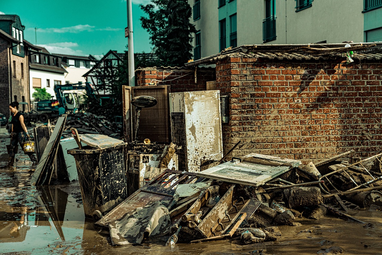 The Future of Artificial Intelligence in Disaster Response